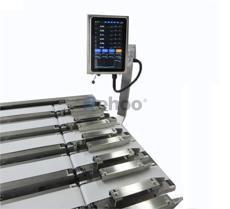 CWC-ML6 Multi-Lane Weight Checking System Product 2